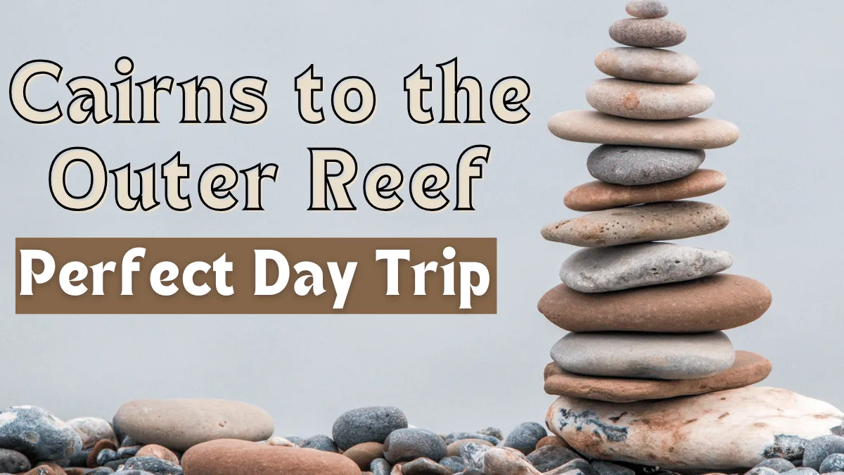 Cairns to the Outer Reef: How to Plan Your Perfect Day Trip